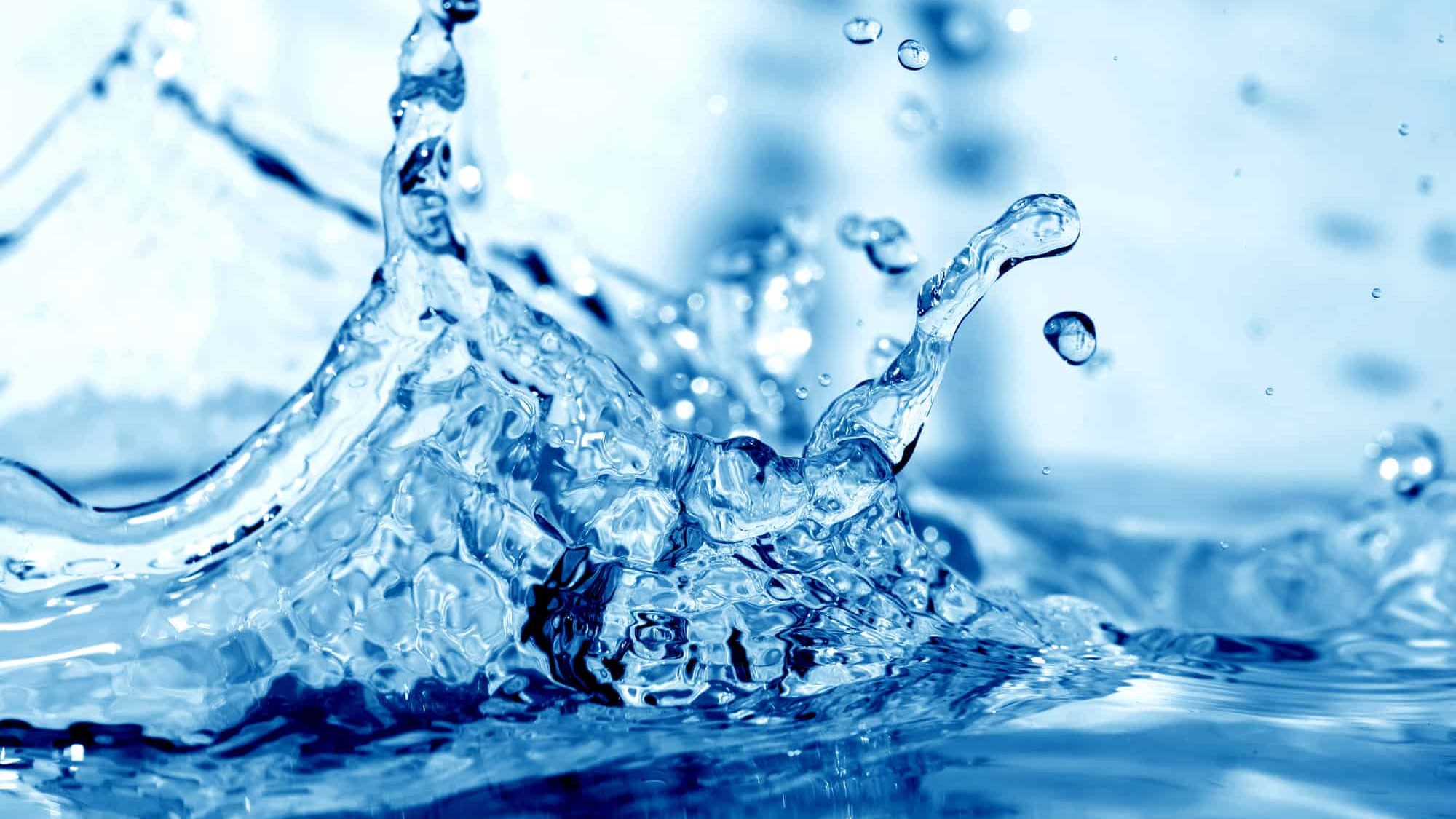 Вода – основа жизни…